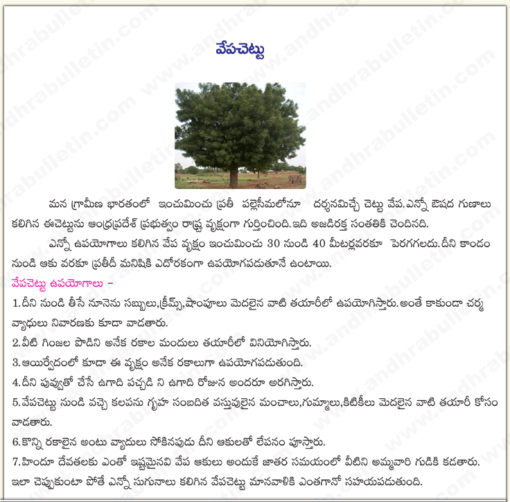 TELUGU WEB WORLD VEPA CHETTU NEEM TREE BRIEF ARTICLE ABOUT NEEM