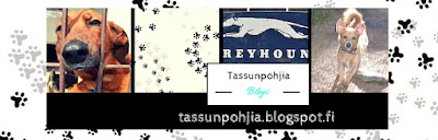 Tassunpohjia-blogi
