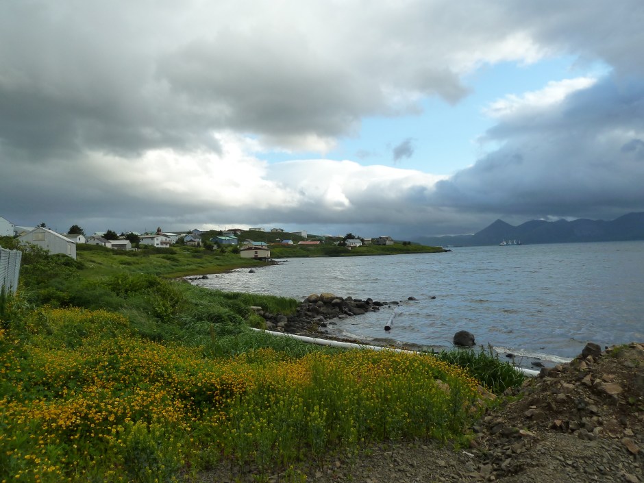 Skinboat Journal Sand Point, Alaska