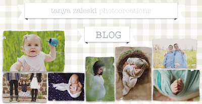 tanya zaleski photocreations blog