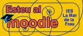 Moodle