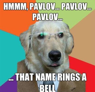 Name Of Pavlov S Dog Name Of Pavlov S Dog