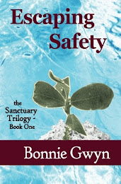 Escaping Safety (Sanctuary 1)