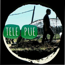 tele pue