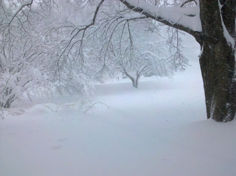 Shirat Devorah The Spiritual Meaning of Snow