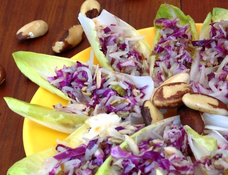 Salada de Endívia com Repolho Roxo e Broto de Feijão Salada de Endívia com Repolho Roxo e Broto de Feijão (vegana)