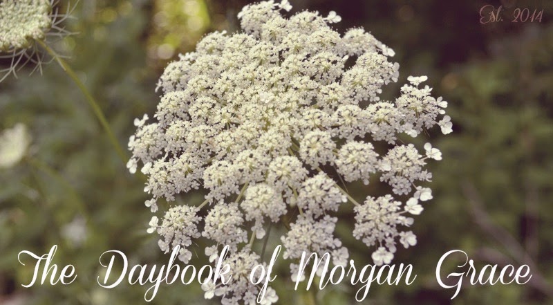 The Daybook of Morgan Grace