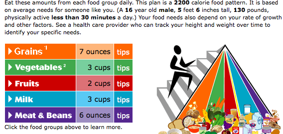 Daily+healthy+food+chart