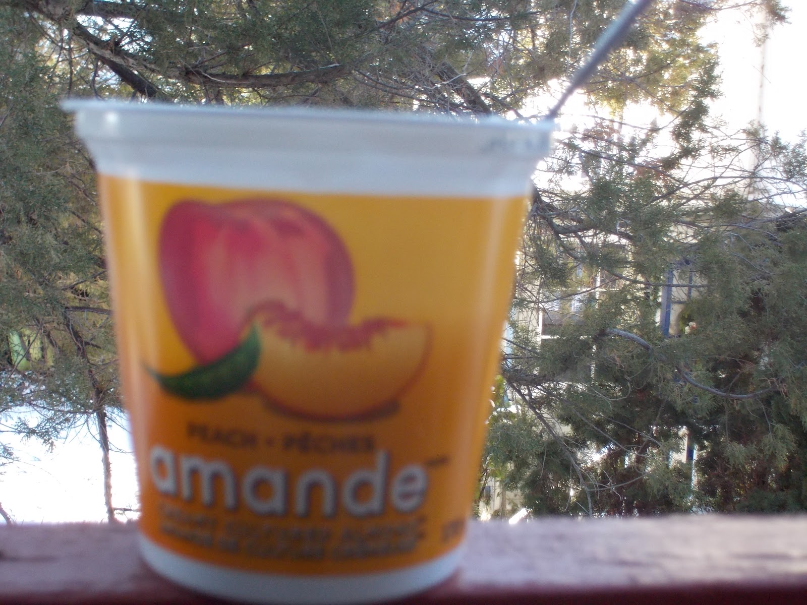 Grocery food reviews