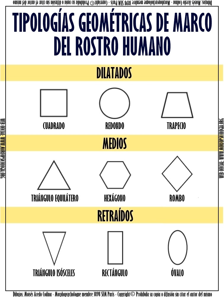 Flexibilidad Y Sus Tipos En Educacion Fisica