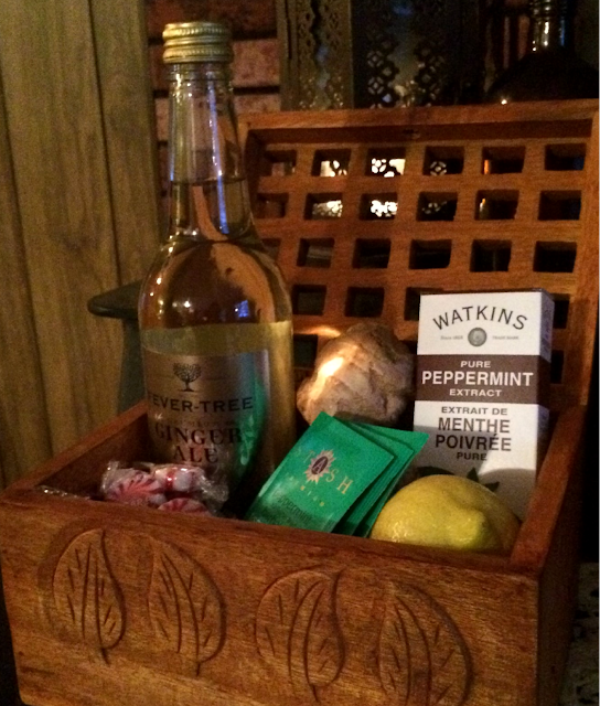 Grow Wild My Child Expecting Joy (and Nausea) Morning Sickeness Gift