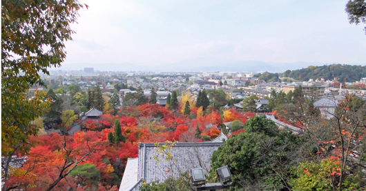 京都全景、the precinct with autumnal color of leaves and the city of Kyoto
