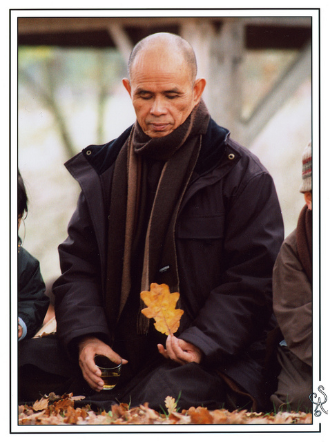 Hành động của tôi nói lên tôi là ai - Thich Nhat Hanh