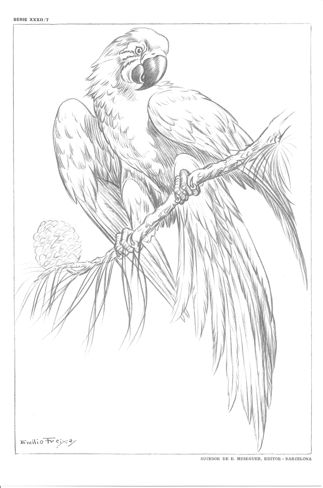 Laminas De Dibujo Artistico Emilio Freixas Pdf Free Laminas De Dibujo Artistico Emilio Freixas Pdf Free