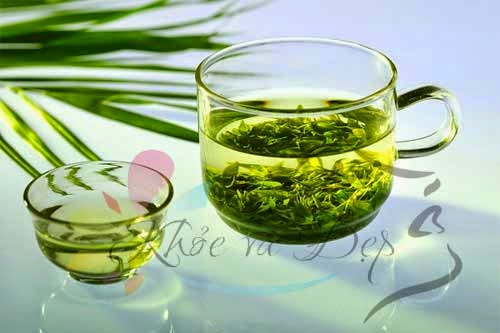 Uống trà và các loại canh giúp giảm cân (P2) Uống trà và các loại canh giúp giảm cân (P2)