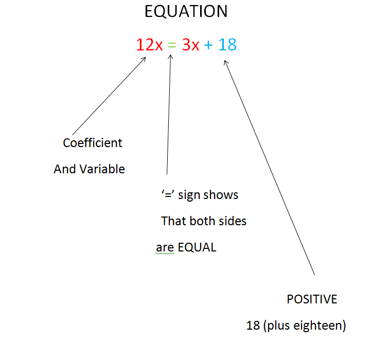 Bro and Sis Math Club: Equations and Expressions