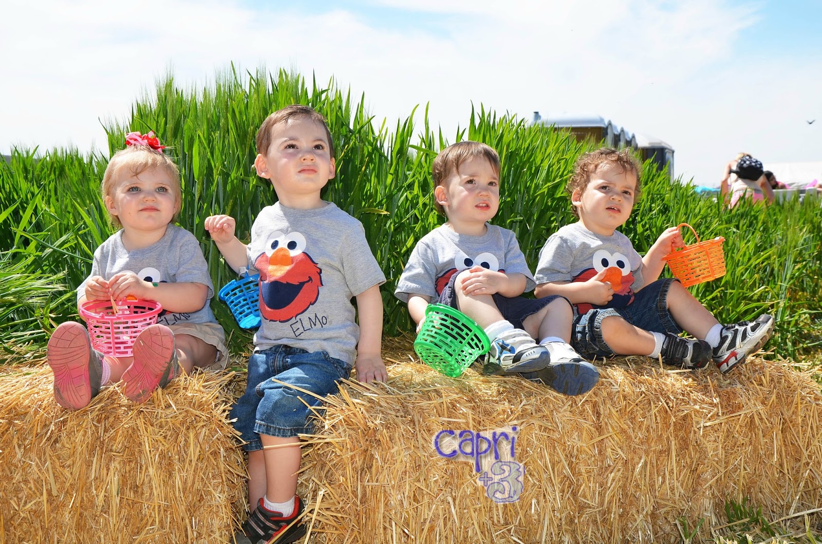 Easter Bunny Encounter & Egg Hunt on the Farm Capri + 3