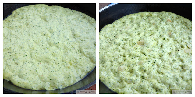 http://www.farmfreshfeasts.com/2013/05/arugula-pesto-focaccia-with-artichokes.html 