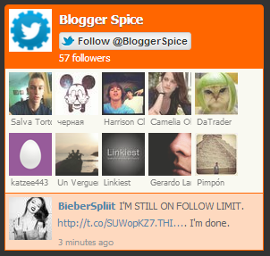 How to Add Customized Twitter Fan Box with Followers Recent Tweets Orange color twitter fan box