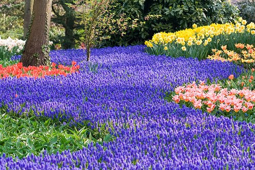 PRIMAVERA ALEMANA