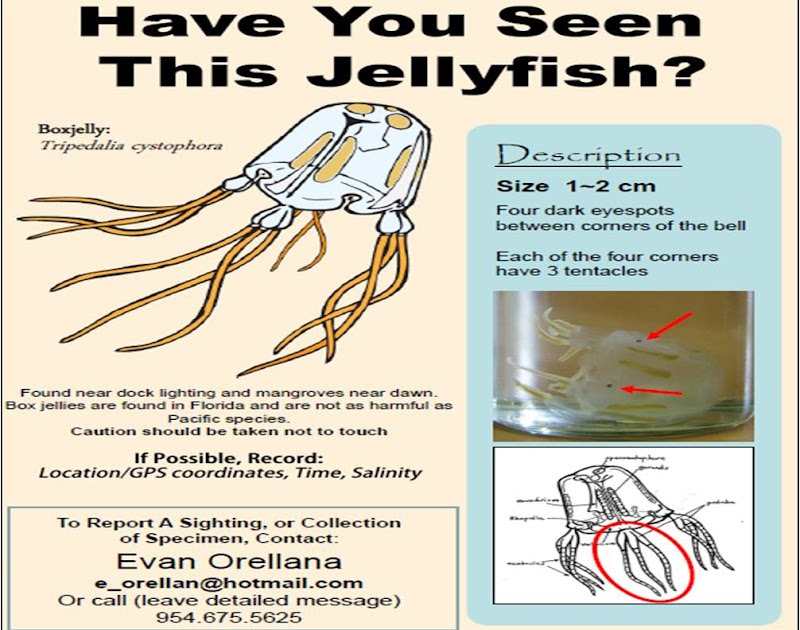 Stay In Touch With Collier County's Sea Grant Extension Program Have