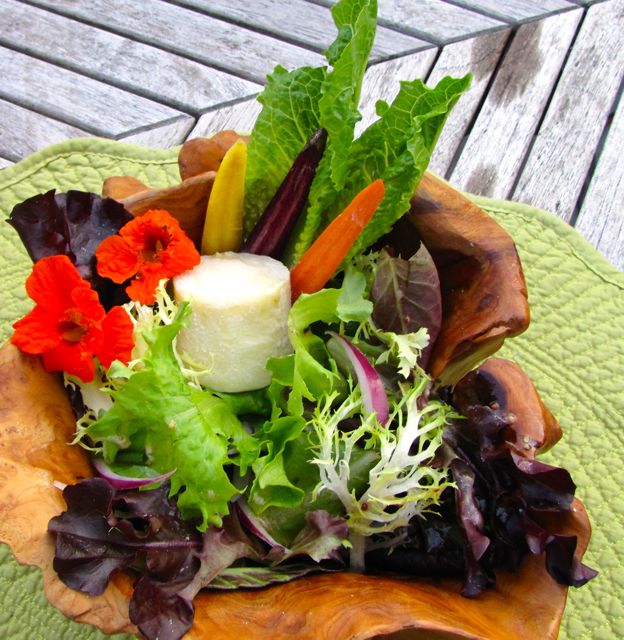 Diane Carnevale Pine needle smoked mussels