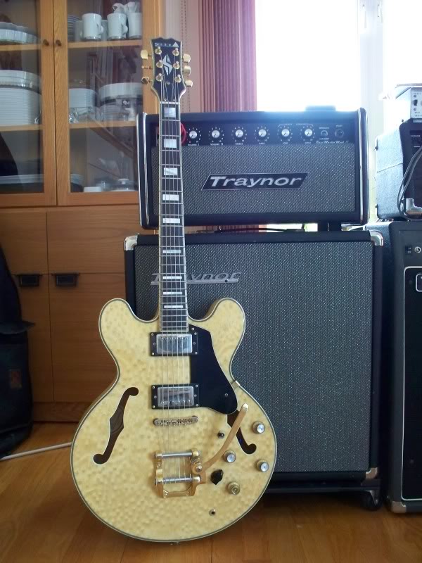 Samick SAB653 Semi Hollow Body Electric Guitar