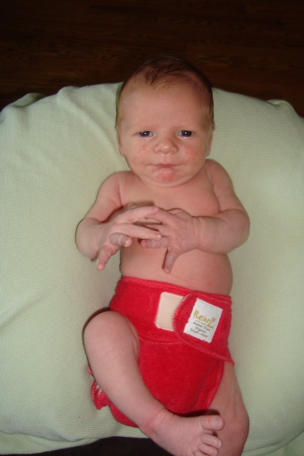 Trying To Go Green RearZ Smitten Cloth Diaper Review & Giveaway
