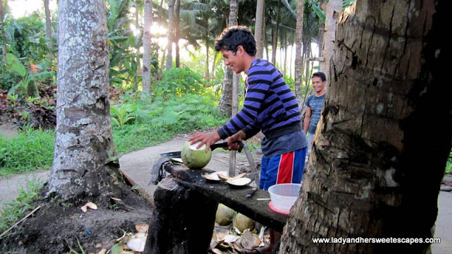 cocunut boy preparing the coconut for us in Leyte Tour