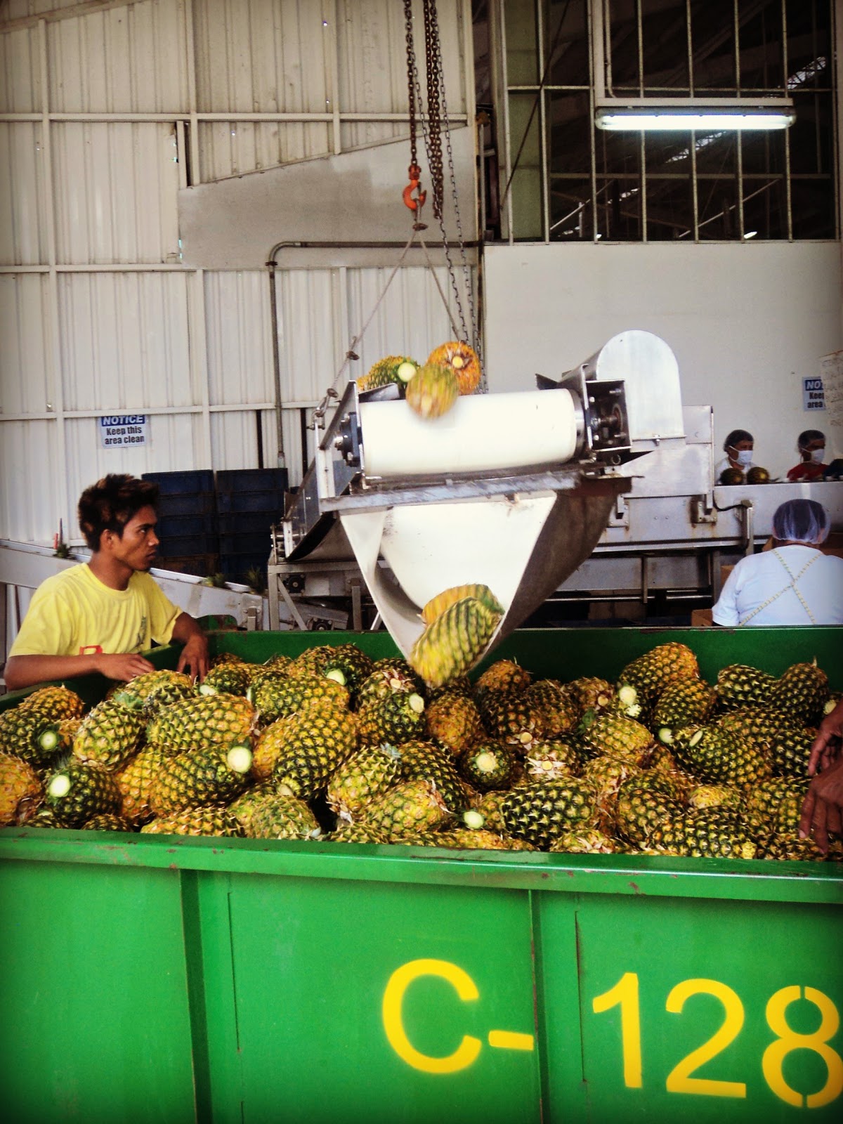 Finding BonggaMom Del Monte Plantation, Philippines home of the