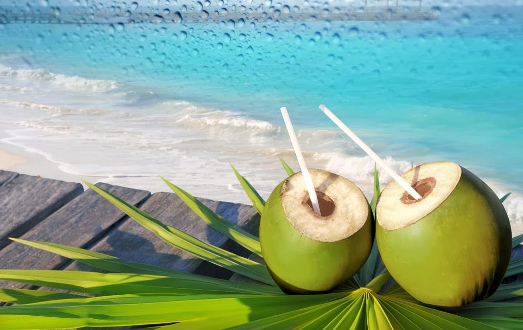 80 Gambar Air Kelapa Muda HD 80 Gambar Air Kelapa Muda HD