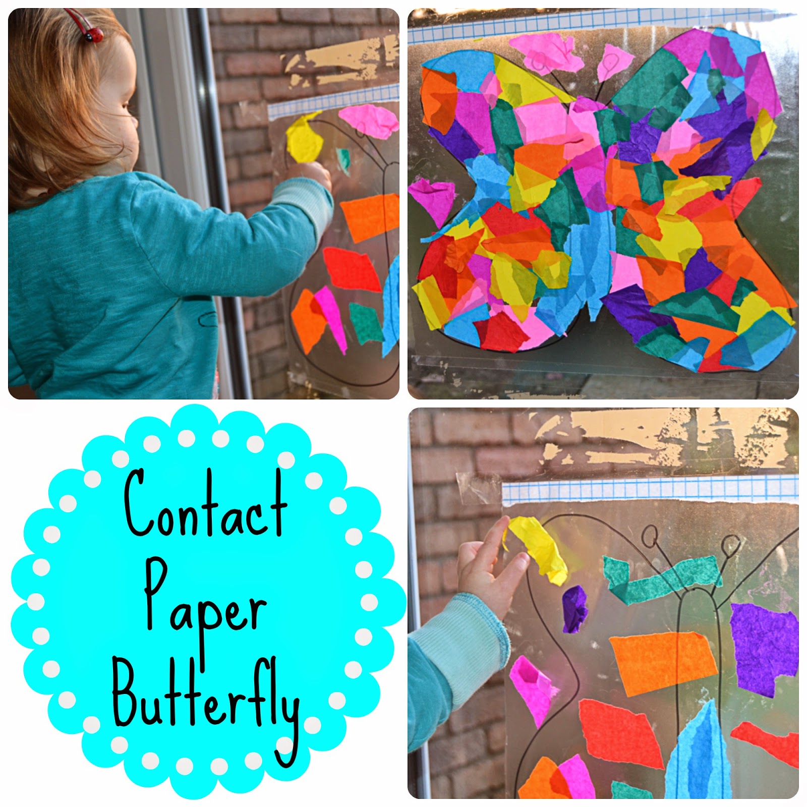 The Natural Momma in Me Day 36 Contact Paper Butterfly