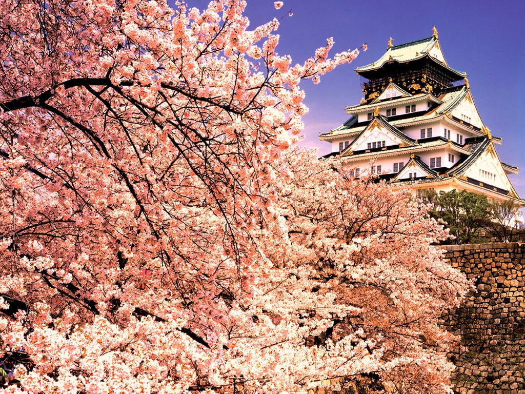 Pocket Hobby - www.pockethobby.com - Hobby Trip - Chineses Amam o Japão - Osaka Castle Pocket Hobby - www.pockethobby.com - Hobby Trip - Chineses Amam o Japão! - Osaka Castle