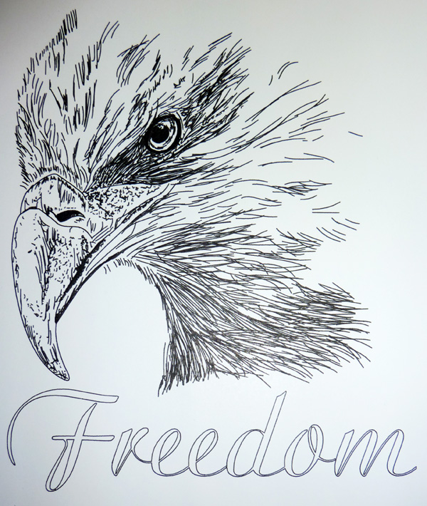 Line Drawing Eagle : Crafting with suer eagle line drawing