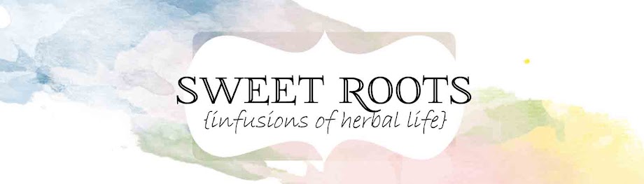 Sweet Roots {Infusions of Herbal Living}