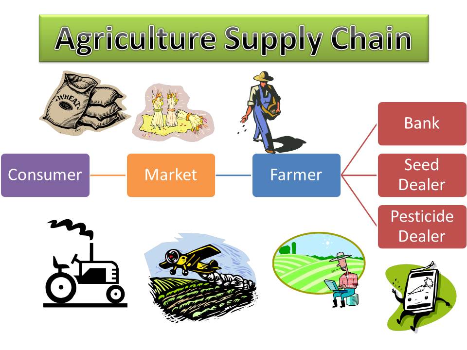 Agriculture Supply Chain Management And Leadership