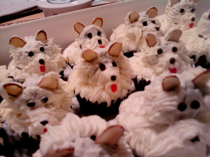 Camille's Creations Dog Cupcakes