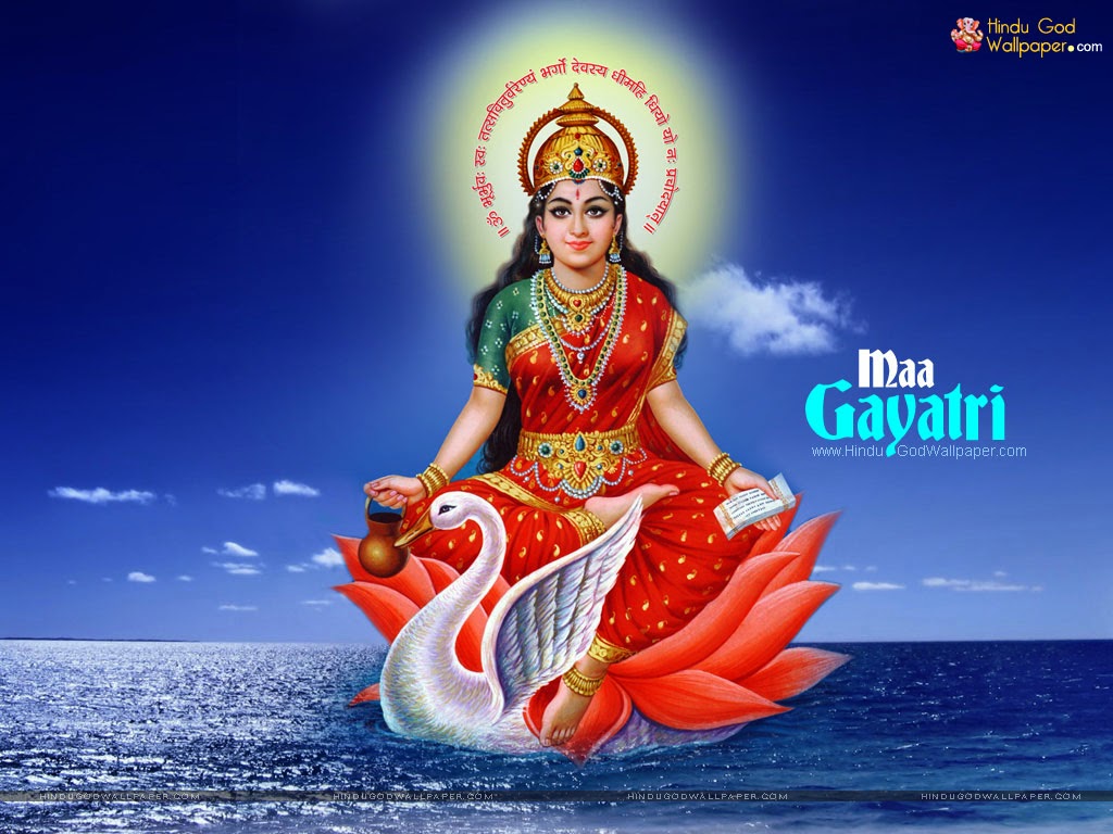 Beautiful Wallpapers | Amazing Wallpapers | HD Wallpapers | Best