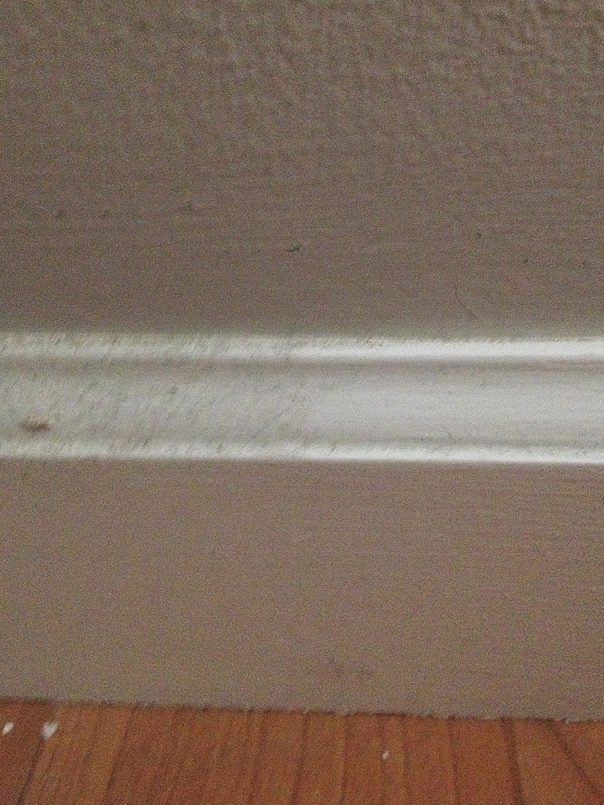 The Everyday Cinderella Dust all the baseboards in your house with ease!