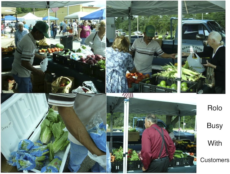Beasley Farm of Brooksville Hernando County Farmers Market
