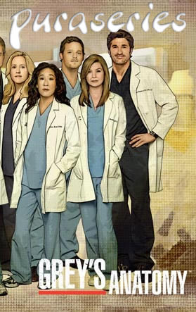 Anatomia de Grey 9x21 Online ANIMES SERIES Y PELICULAS ONLINE PURASERIES