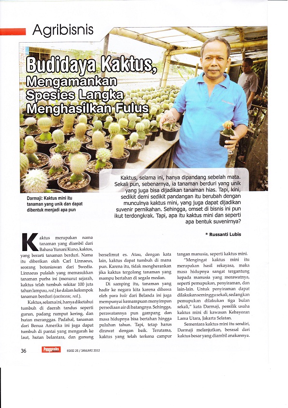 Image Result For Pulsa Murah Di Patuk Image Result For Pulsa Murah Di Patuk