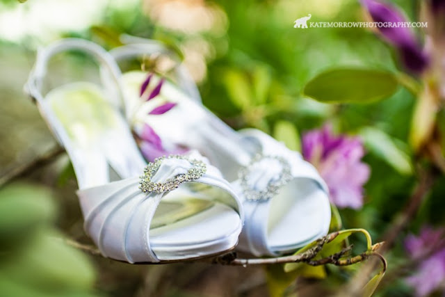 Grand Rapids Wedding Planner Grand Rapids Wedding Planner