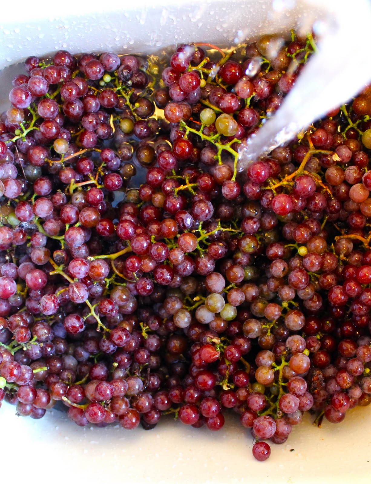 Yammie's Noshery Grape Jelly