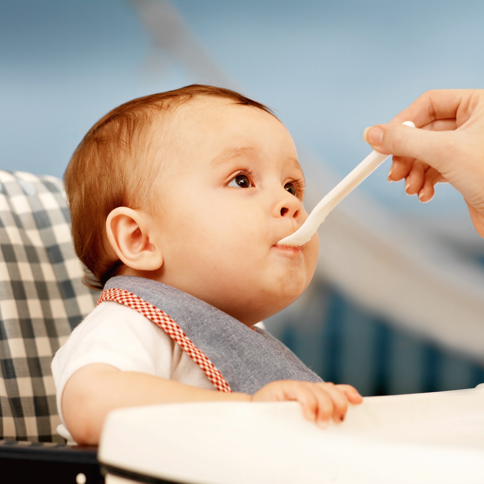 Secrets of Baby Behavior: Baby Behavior in the News: Spoon-feeding vs.  Finger-feeding and Obesity Risk
