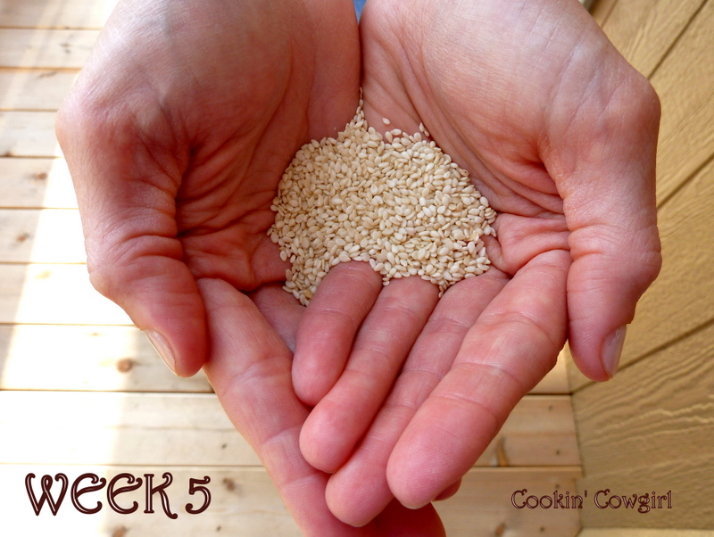 Cookin' Cowgirl Pregnancy Foodie Project