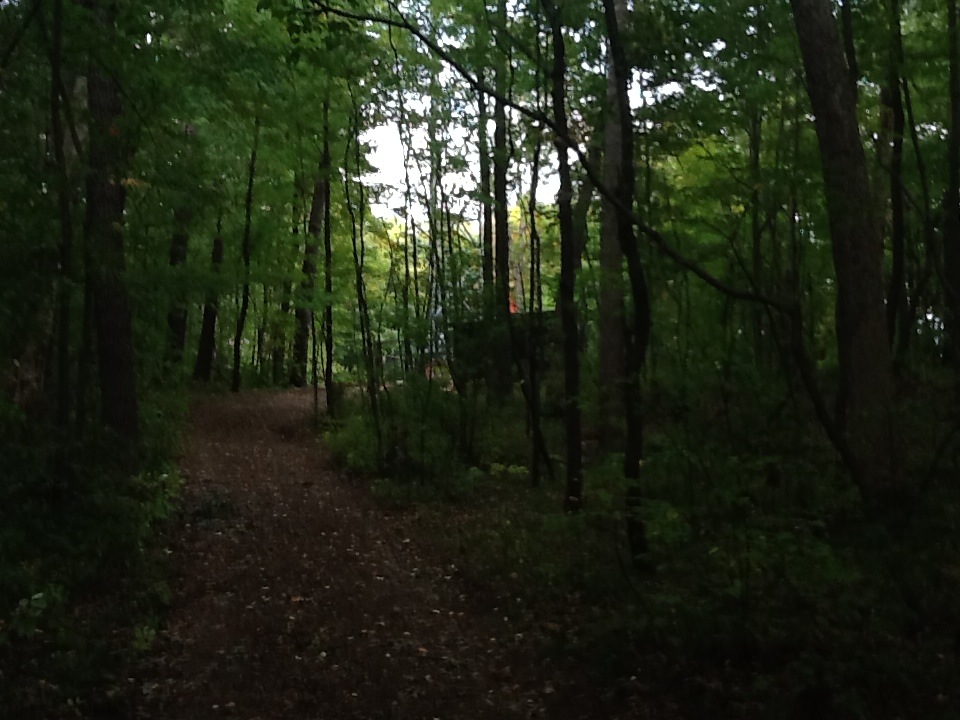 Southcott Pines