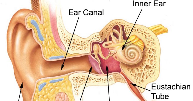 Ability Tools Weekly: Hearing Loss in America