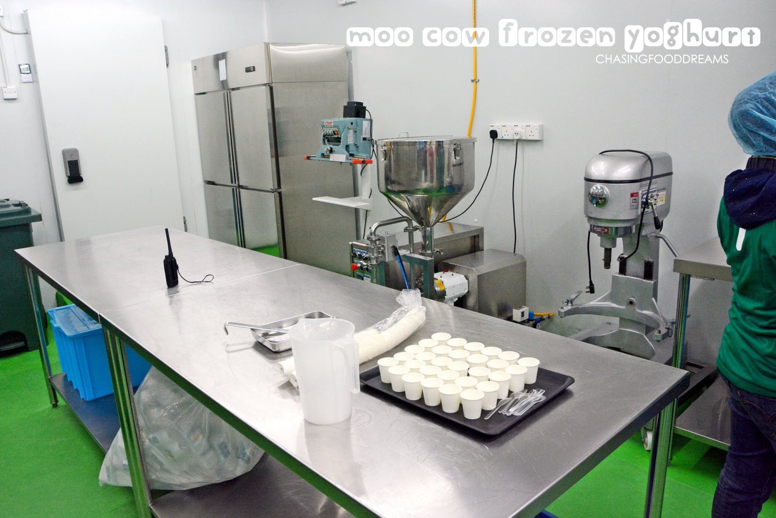 CHASING FOOD DREAMS Moo Cow Frozen Yogurt The Science Behind The Divine Frozen Yogurt!