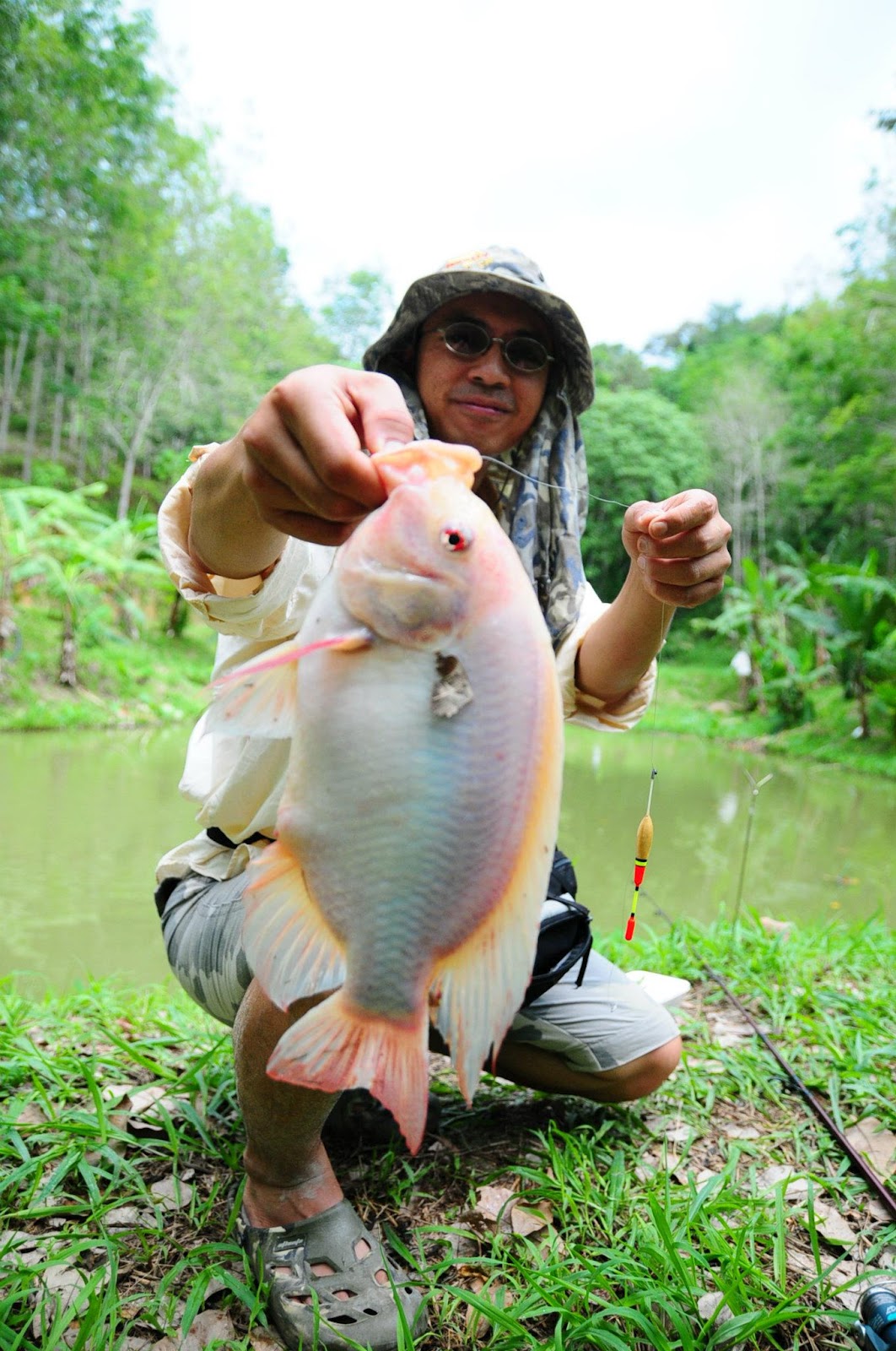 Tilapia Fishing Part 1 The Fish Hut